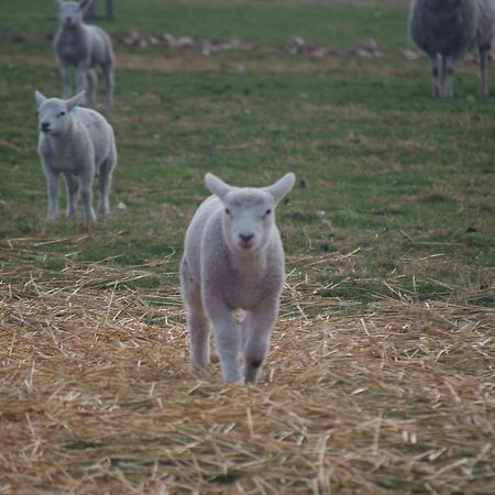 Woodhouse Farm Lodge Spalding Zewnętrze zdjęcie